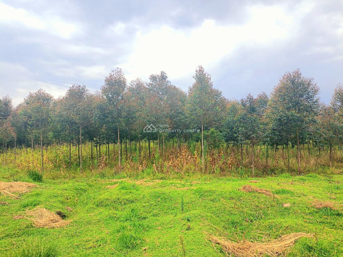 Nyandarua 10 Acres Land, Engineer Road, Engineer, Nyandarua, Residential Land for Sale