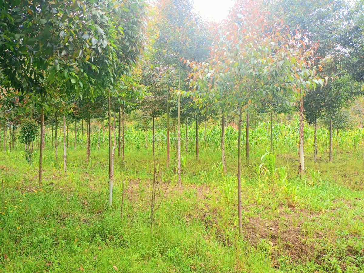 Nyandarua 10 Acres Land, Engineer Road, Engineer, Nyandarua, Residential Land for Sale