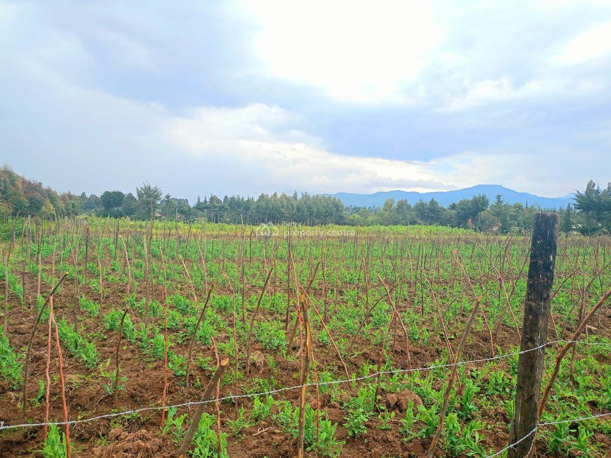 Nyandarua 10 Acres Land, Engineer Road, Engineer, Nyandarua, Residential Land for Sale
