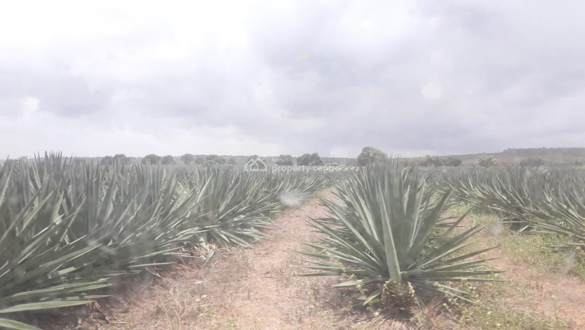 Land, Malindi Town, Kilifi, Land for Sale