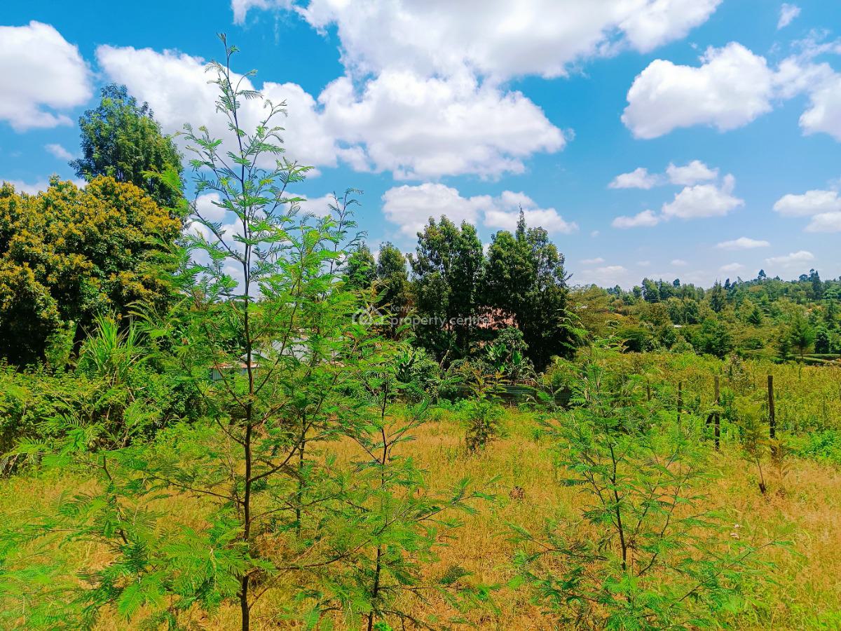 Build-ready Residential Plots Available Immediately!, Jambu Tv Area, Gikambura, Kikuyu, Kiambu, Residential Land for Sale