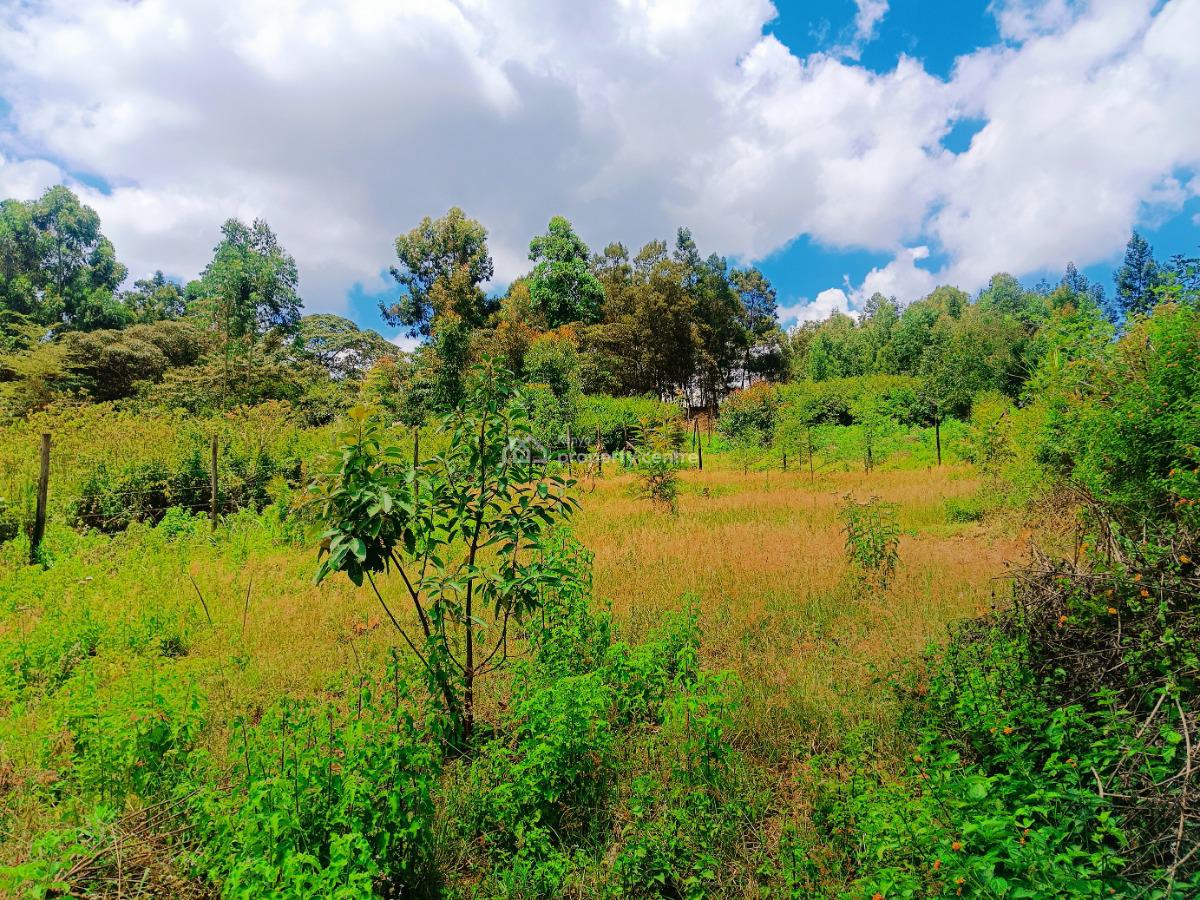 Build-ready Residential Plots Available Immediately!, Jambu Tv Area, Gikambura, Kikuyu, Kiambu, Residential Land for Sale