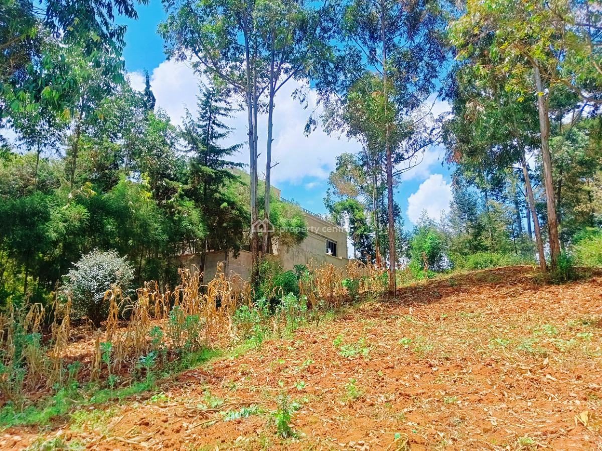 Build-ready Residential Plots Available Immediately!, Jambu Tv Area, Gikambura, Kikuyu, Kiambu, Residential Land for Sale