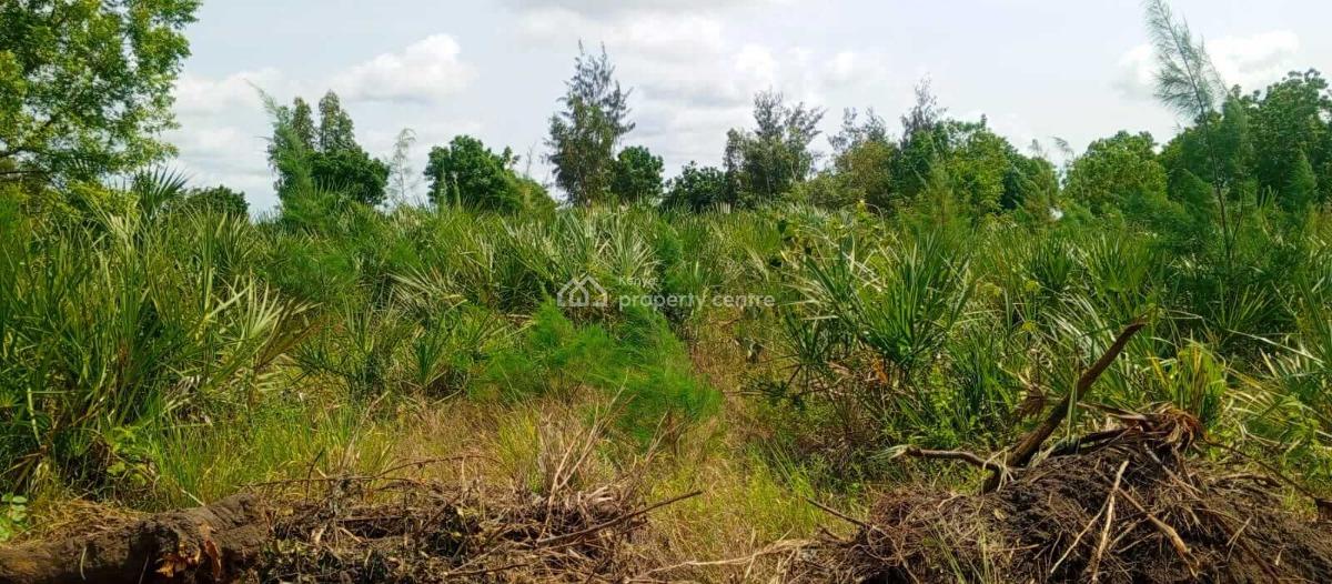 Lamu, Hindi 1/8, 1/4, & 1/2 Acre Freehold Plots, Lamu County, Hindi, Lamu, Residential Land for Sale