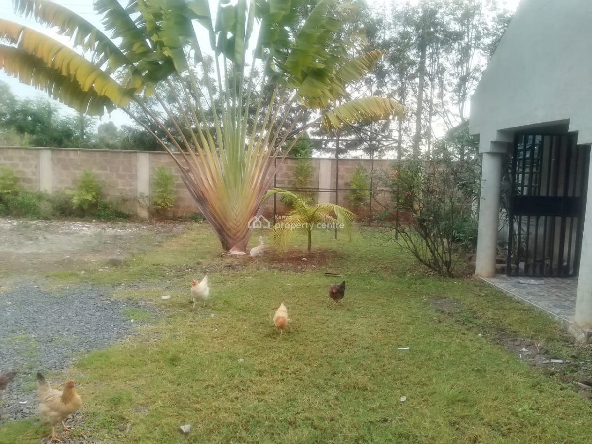 3 Bedroom House, Karen, Nairobi, Detached Bungalow for Rent