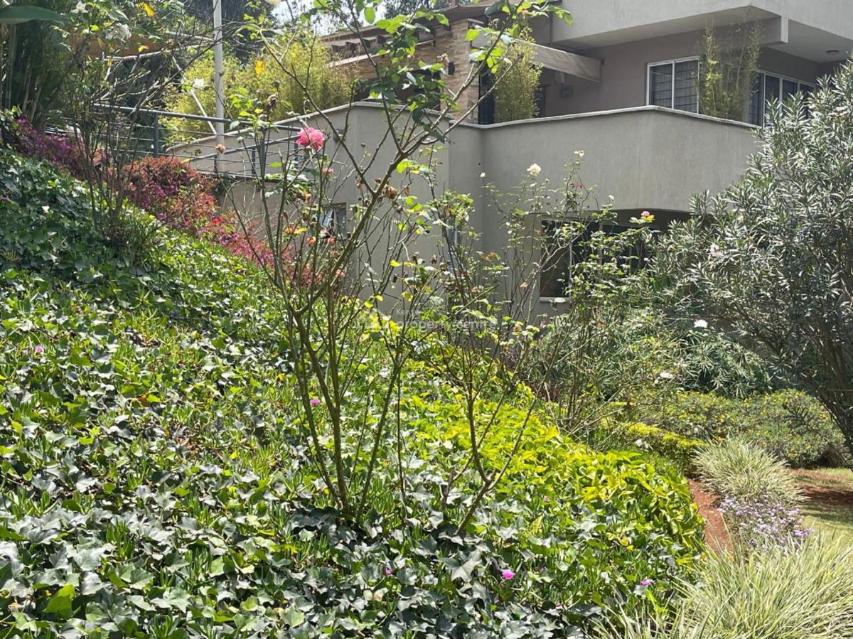 3 Bedroom Apartment with Dsq, Lower Kabete Road, Spring Valley, Nairobi, Apartment for Rent