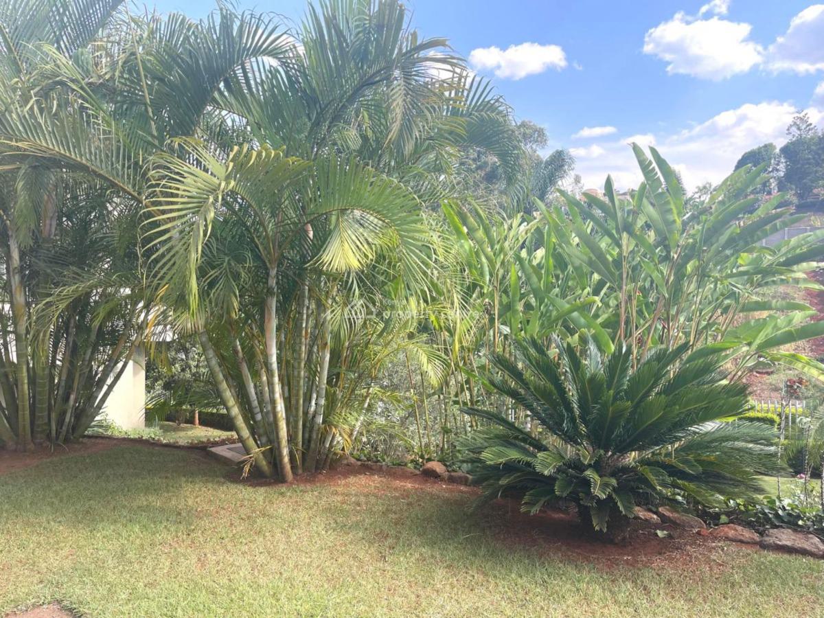 3 Bedroom Apartment with Dsq, Lower Kabete Road, Spring Valley, Nairobi, Apartment for Rent
