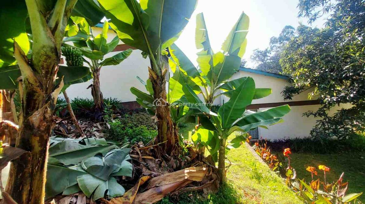 4 Bedroom Plus Dsq House in Loresho, Loresho Ridge, Loresho, Westlands, Nairobi, Detached Bungalow for Sale