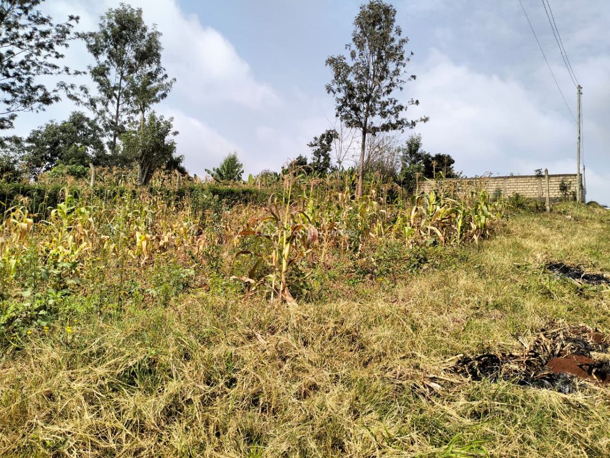 Prime Plot  Lower Kabete, Lower Kabete Rd Route 118, Eastleigh North, Nairobi, Mixed-use Land for Sale