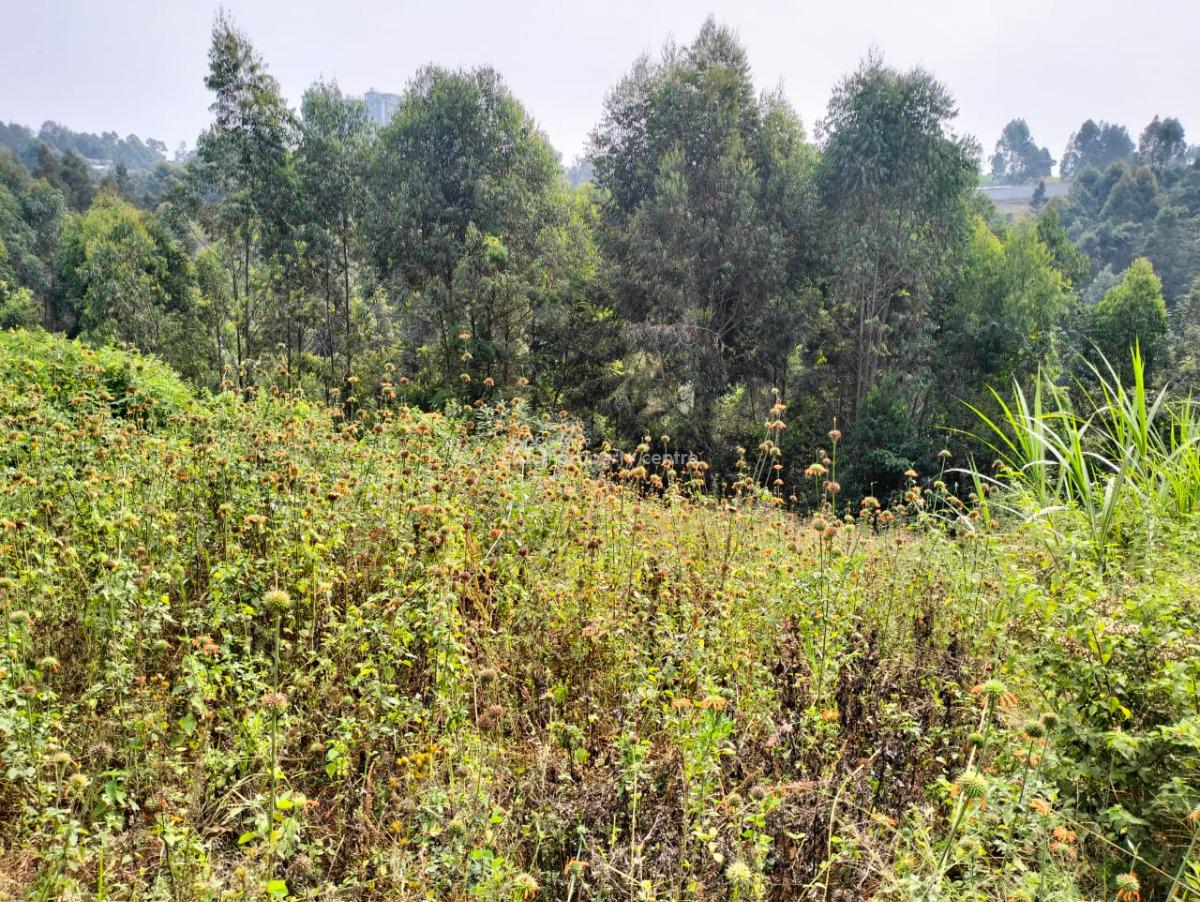 Prime Plot  Lower Kabete, Lower Kabete Rd Route 118, Eastleigh North, Nairobi, Mixed-use Land for Sale