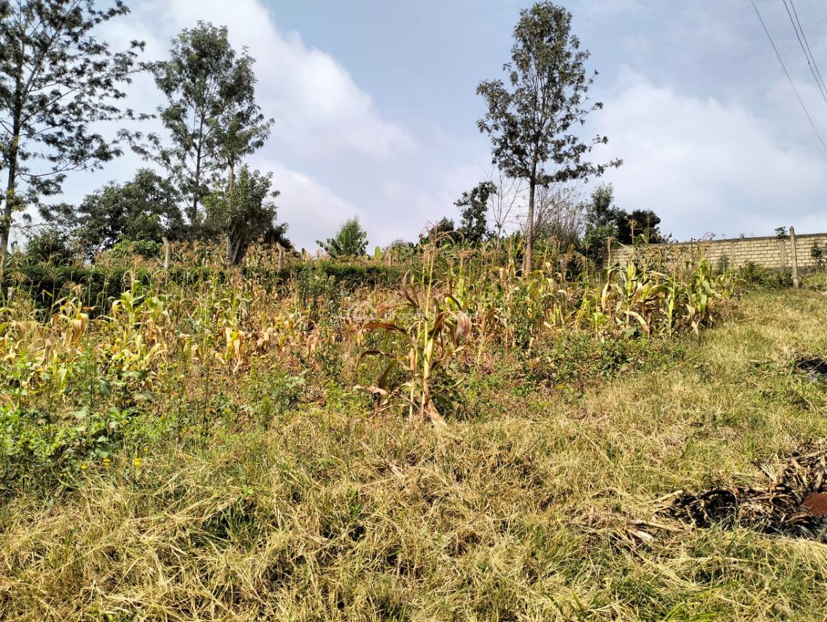 Prime Plot  Lower Kabete, Lower Kabete Rd Route 118, Eastleigh North, Nairobi, Mixed-use Land for Sale