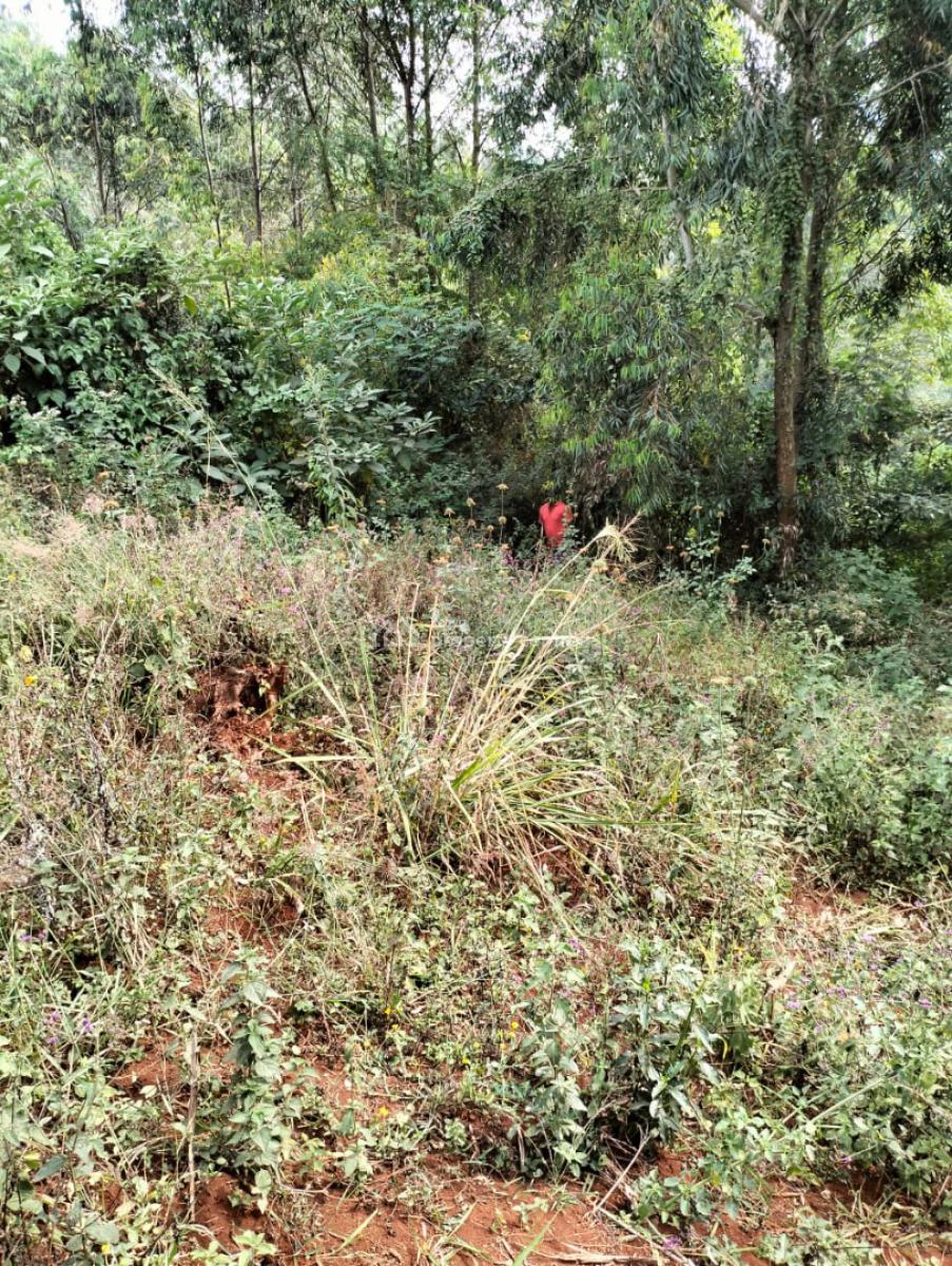 Prime Plot  Lower Kabete, Lower Kabete Rd Route 118, Eastleigh North, Nairobi, Mixed-use Land for Sale