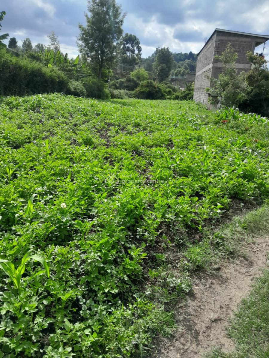 Green Lavish Plot in Kajiado, Oloolua, Oloolua, Kajiado, Land for Sale