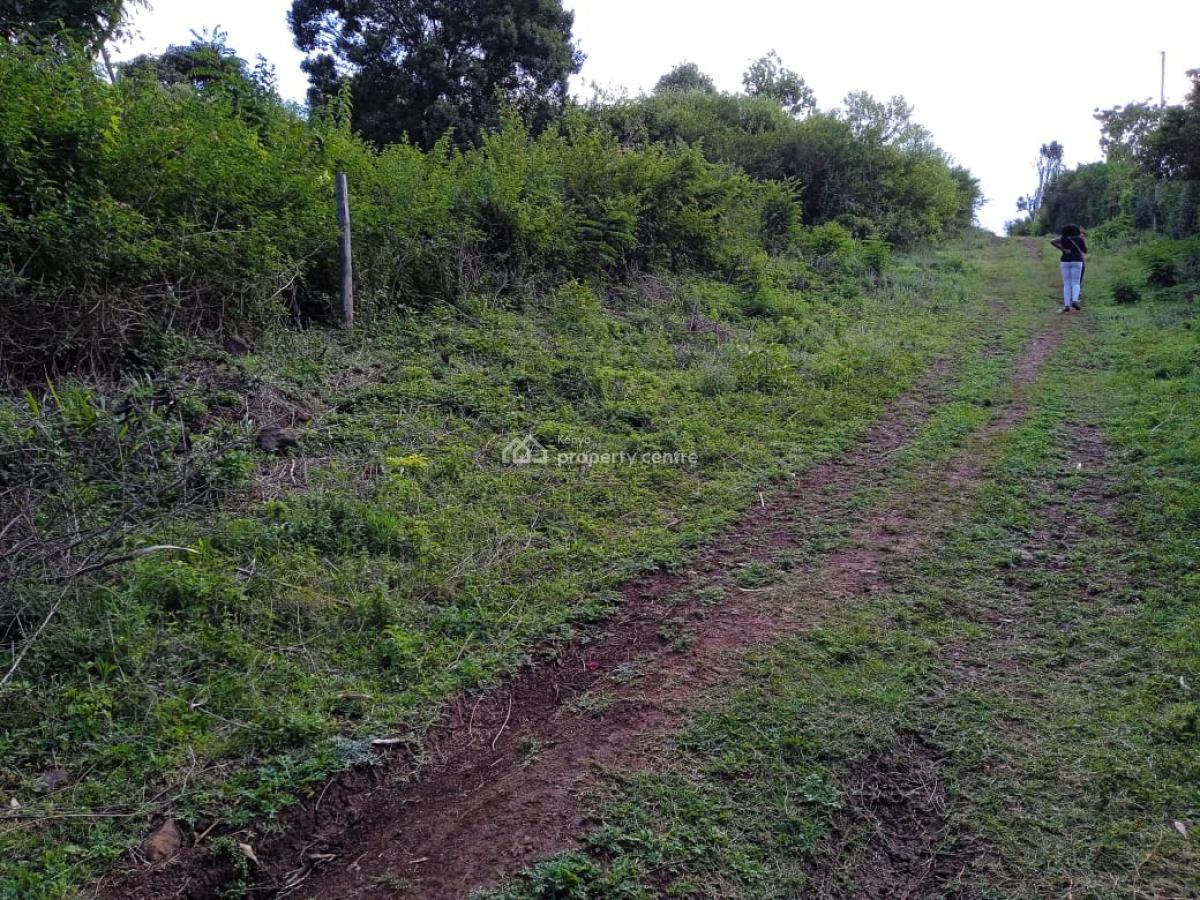 Green Lavish Plot in Kajiado, Oloolua, Oloolua, Kajiado, Land for Sale