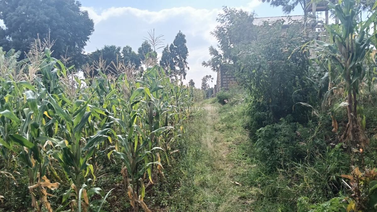 Plot in Thiiru/uthiru, Thiiru/uthiru, Uthiru, Kiambu, Land for Sale