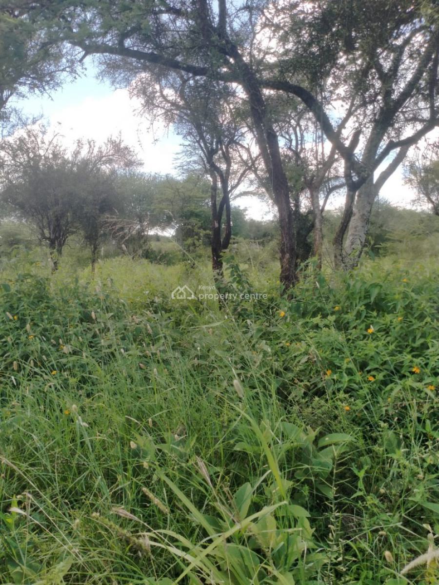 Land in Malili Makueni, Malili, Kiima Kiu/kalanzoni, Makueni, Land for Sale