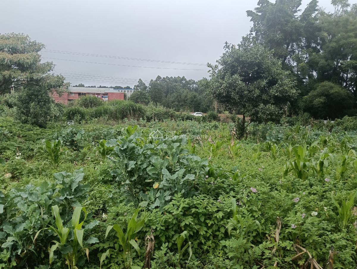 Land in Acre Tano, Acre Tano, Waiyaki Way, Kikuyu, Kiambu, Land for Sale