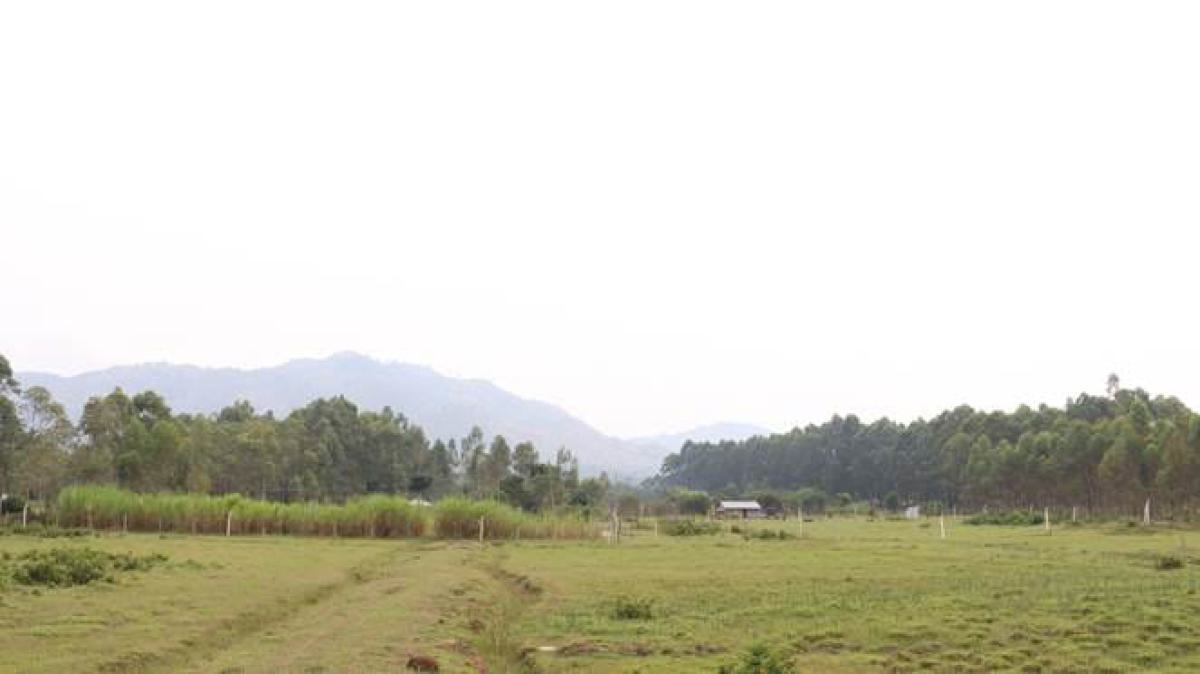 Prime Lands in Kisumu, Kapuonja Sub Location, Maseno, West Kisumu, Kisumu, Land for Sale