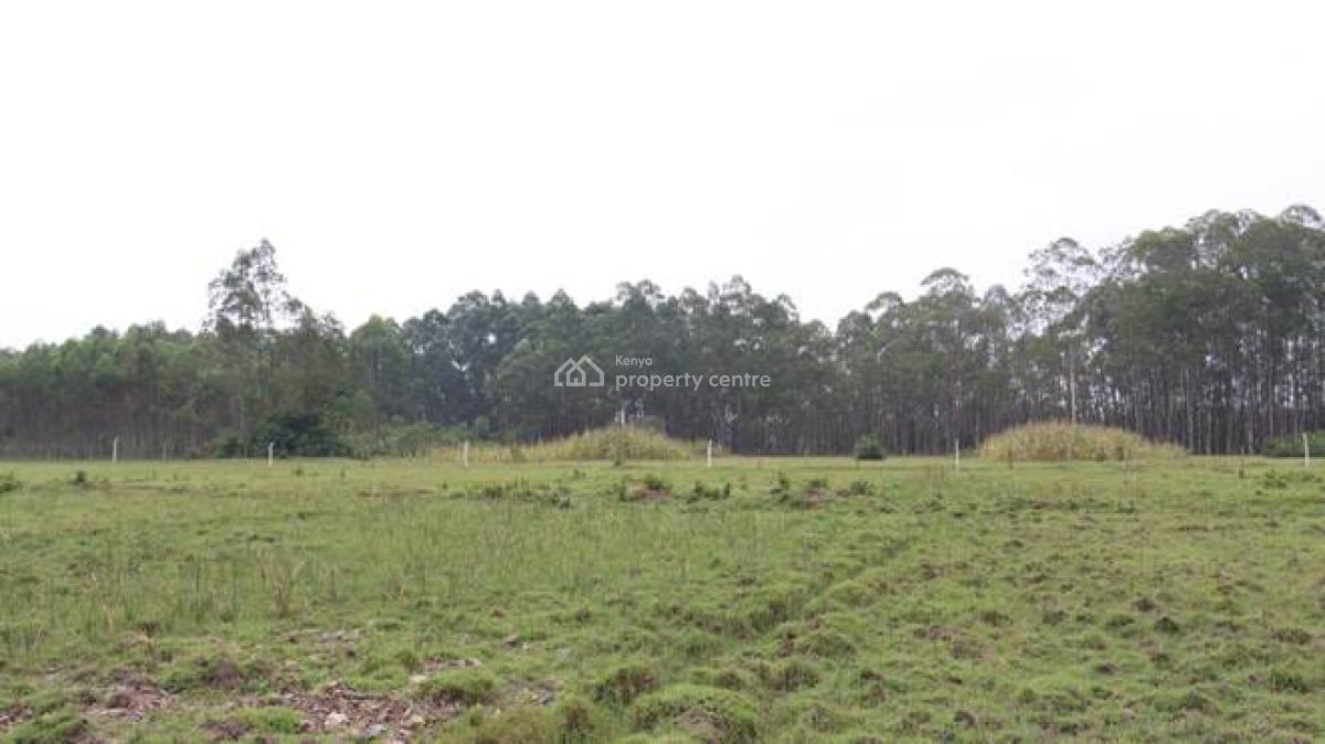 Prime Lands in Kisumu, Kapuonja Sub Location, Maseno, West Kisumu, Kisumu, Land for Sale