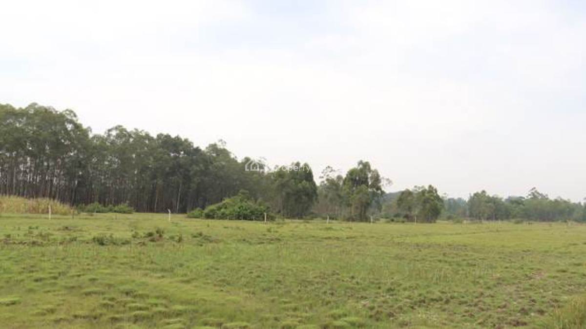 Prime Lands in Kisumu, Kapuonja Sub Location, Maseno, West Kisumu, Kisumu, Land for Sale
