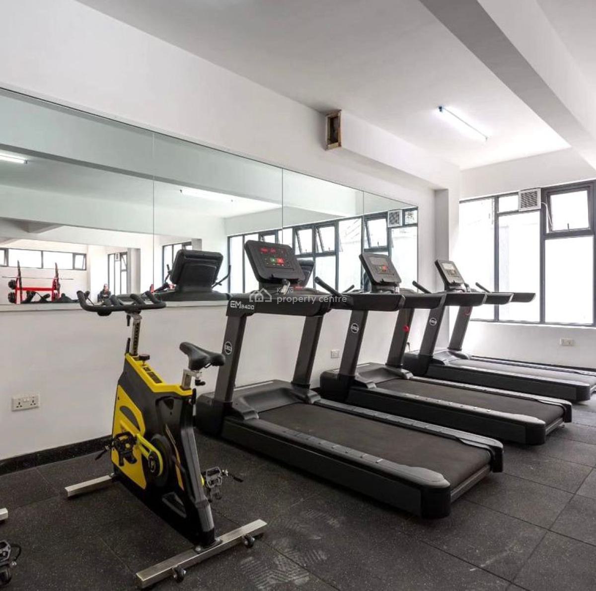 Executive Fully Furnished 2 Bedroom Apartment, Kilimani, Nairobi, Apartment for Rent