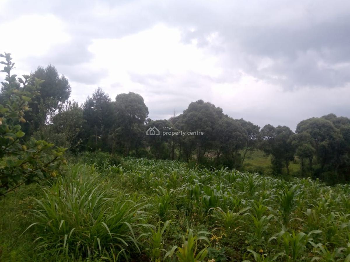 1/2 an Acre Naivasha  Ready Title Deed Price 1.8m 0718920450, Naivasha, Naivasha East, Nakuru, Mixed-use Land for Sale
