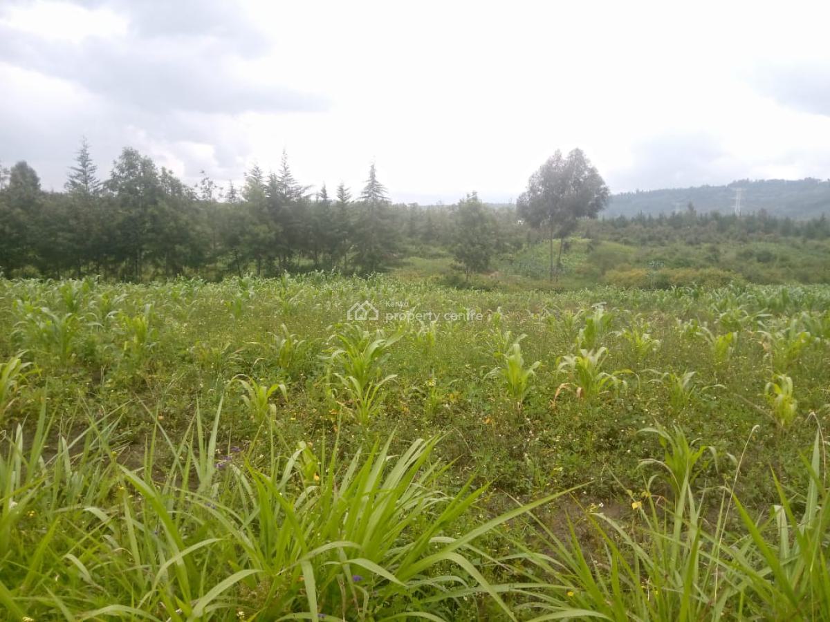 1/2 an Acre Naivasha  Ready Title Deed Price 1.8m 0718920450, Naivasha, Naivasha East, Nakuru, Mixed-use Land for Sale