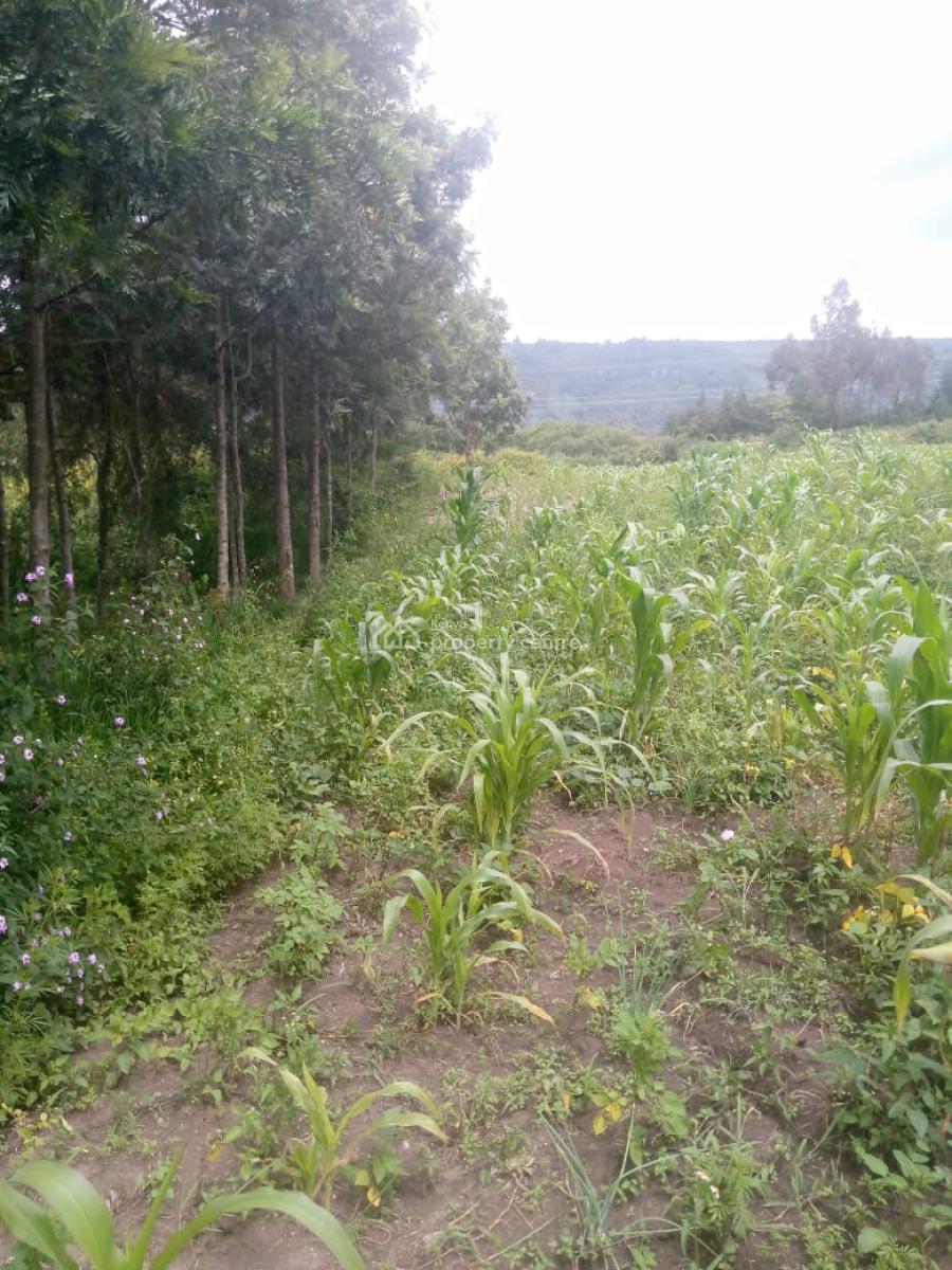 1/2 an Acre Naivasha  Ready Title Deed Price 1.8m 0718920450, Naivasha, Naivasha East, Nakuru, Mixed-use Land for Sale