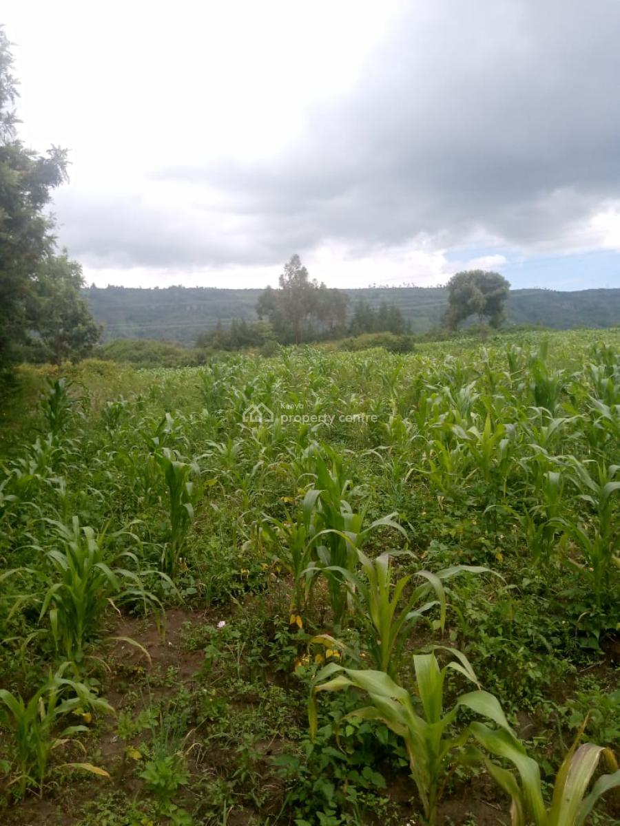 1/2 an Acre Naivasha  Ready Title Deed Price 1.8m 0718920450, Naivasha, Naivasha East, Nakuru, Mixed-use Land for Sale