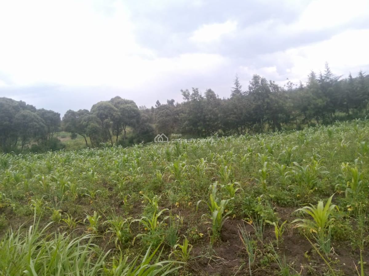 1/2 an Acre Naivasha  Ready Title Deed Price 1.8m 0718920450, Naivasha, Naivasha East, Nakuru, Mixed-use Land for Sale