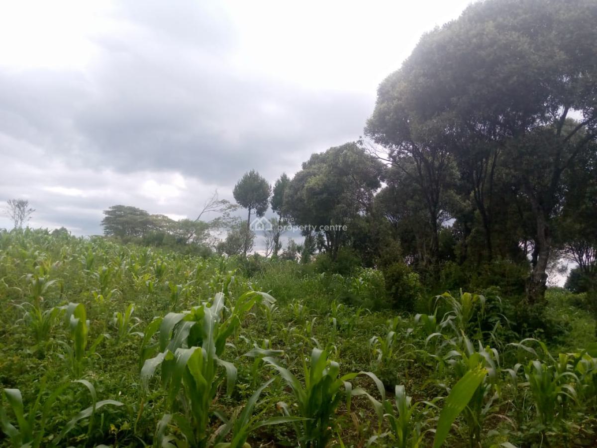 1/2 an Acre Naivasha  Ready Title Deed Price 1.8m 0718920450, Naivasha, Naivasha East, Nakuru, Mixed-use Land for Sale