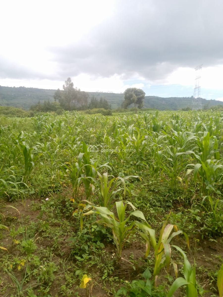 1/2 an Acre Naivasha  Ready Title Deed Price 1.8m 0718920450, Naivasha, Naivasha East, Nakuru, Mixed-use Land for Sale