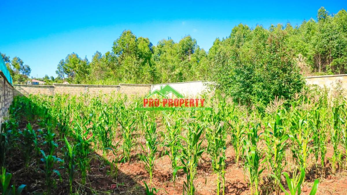 Prime Residential Plot, Ondiri, Kikuyu, Kiambu, Land for Sale