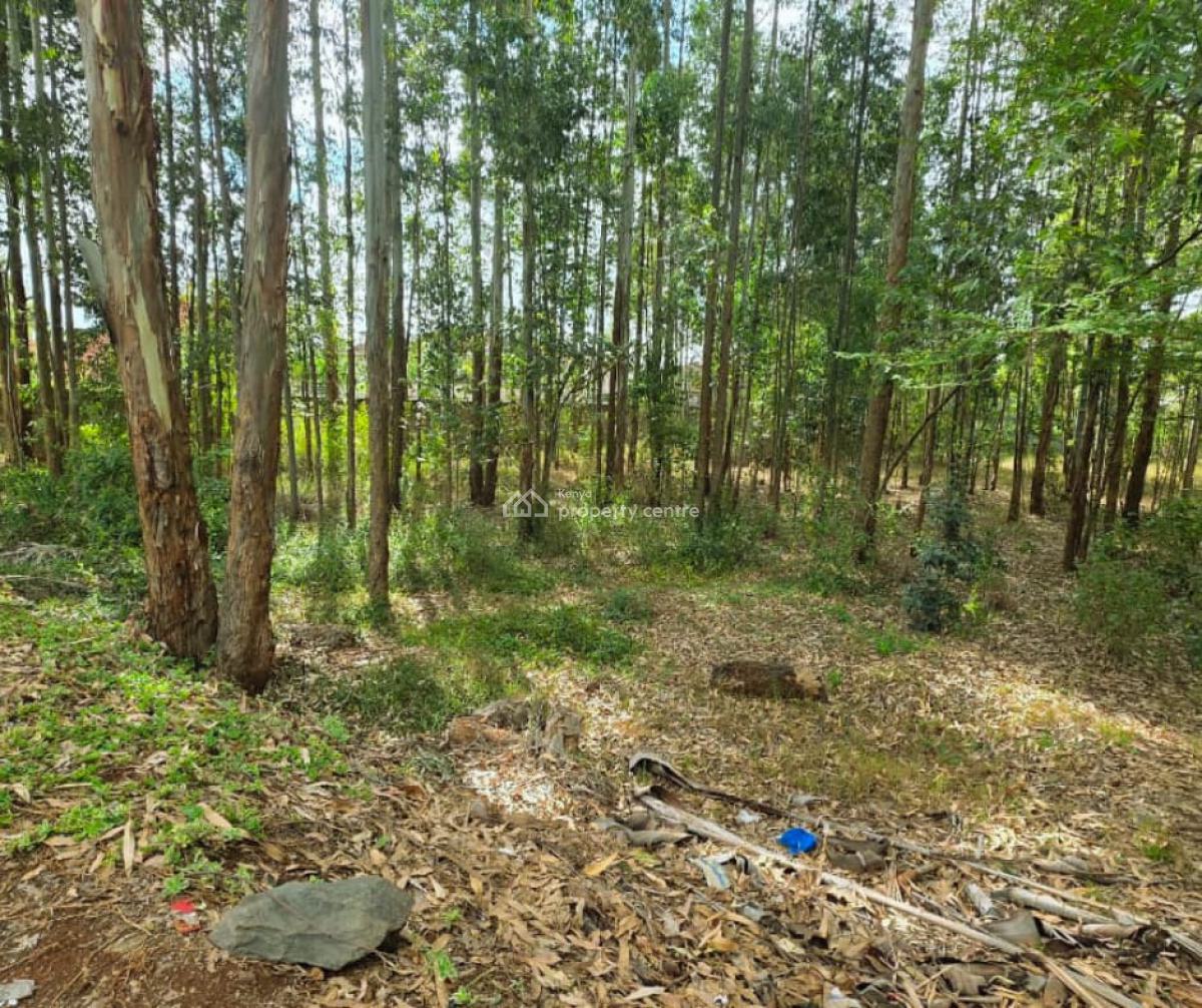 Prime 1/2 Acre Plot  at Ridgeways, Nairobi, Ridgeways, Runda, Westlands, Nairobi, Land for Sale