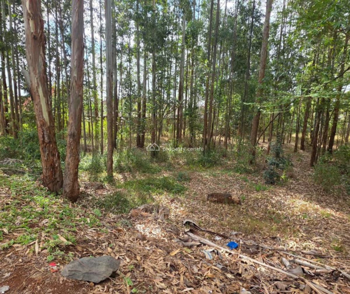 Prime 1/2 Acre Plot  at Ridgeways, Nairobi, Ridgeways, Runda, Westlands, Nairobi, Land for Sale