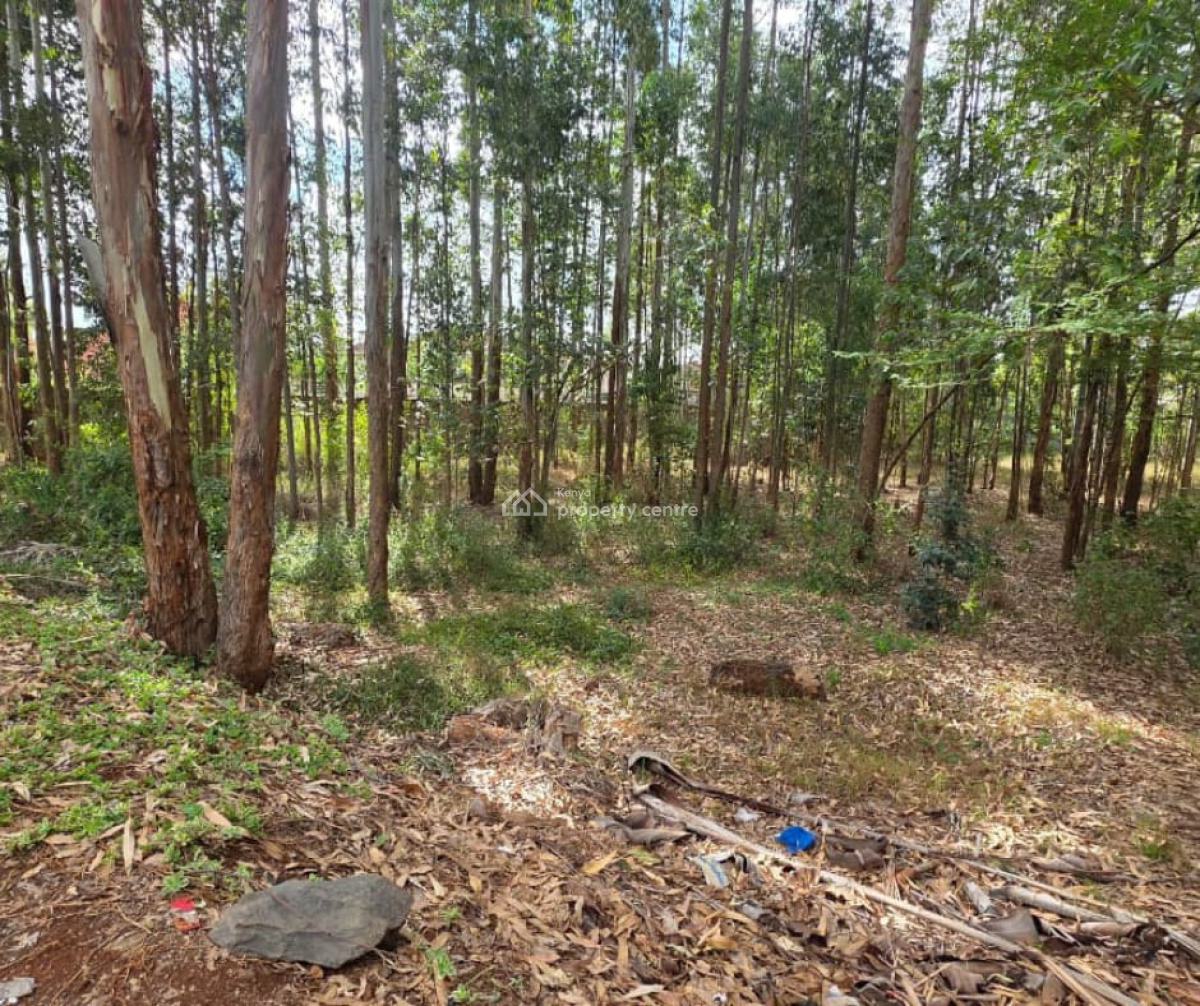 Prime 1/2 Acre Plot  at Ridgeways, Nairobi, Ridgeways, Runda, Westlands, Nairobi, Land for Sale