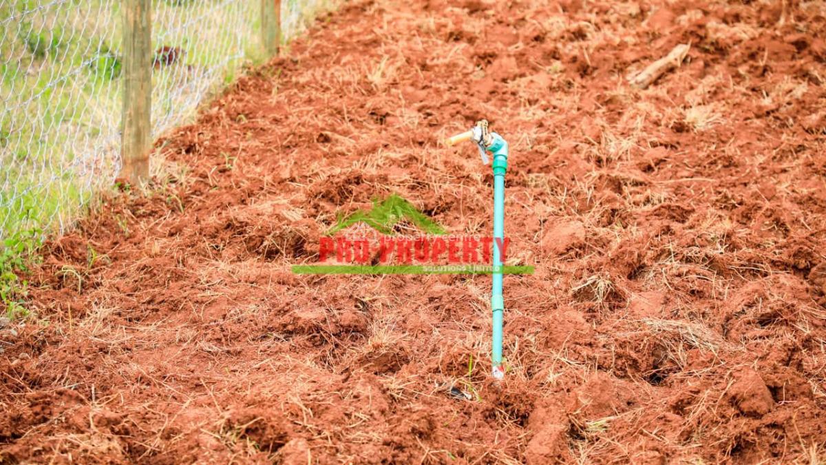 Prime Residential Plots, Thogoto,mutarakwa, Kikuyu, Kiambu, Land for Sale