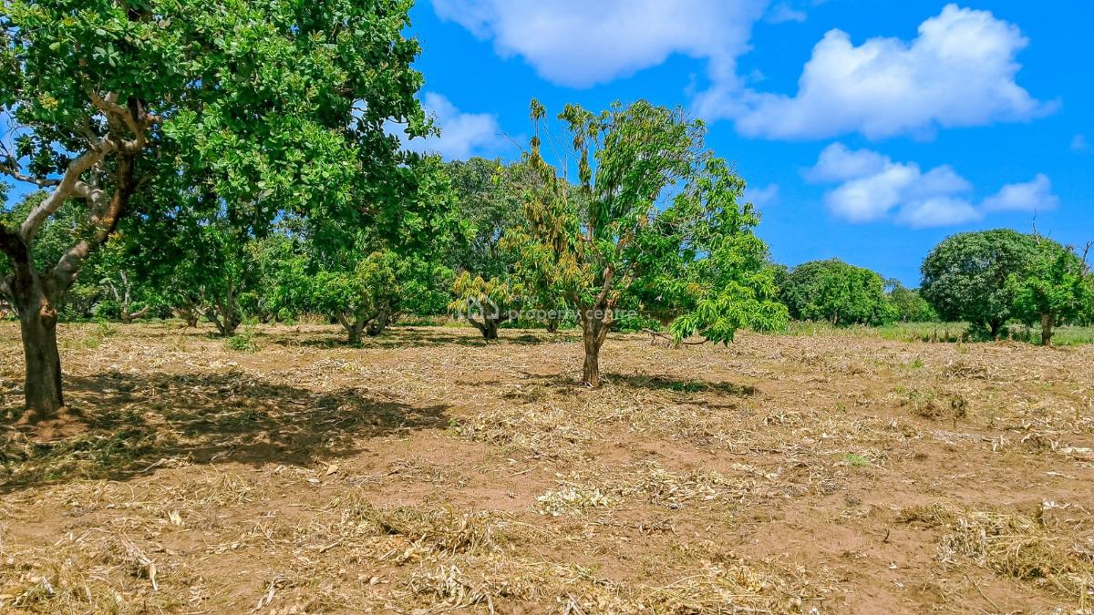 Prime Plots Near The Airport, Malindi Airport Area, Malindi Town, Kilifi, Mixed-use Land for Sale