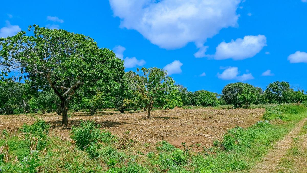 Prime Plots Near The Airport, Malindi Airport Area, Malindi Town, Kilifi, Mixed-use Land for Sale