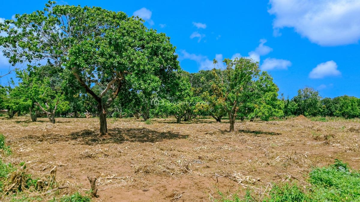 Prime Plots Near The Airport, Malindi Airport Area, Malindi Town, Kilifi, Mixed-use Land for Sale