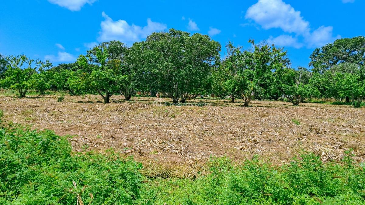 Prime Plots Near The Airport, Malindi Airport Area, Malindi Town, Kilifi, Mixed-use Land for Sale