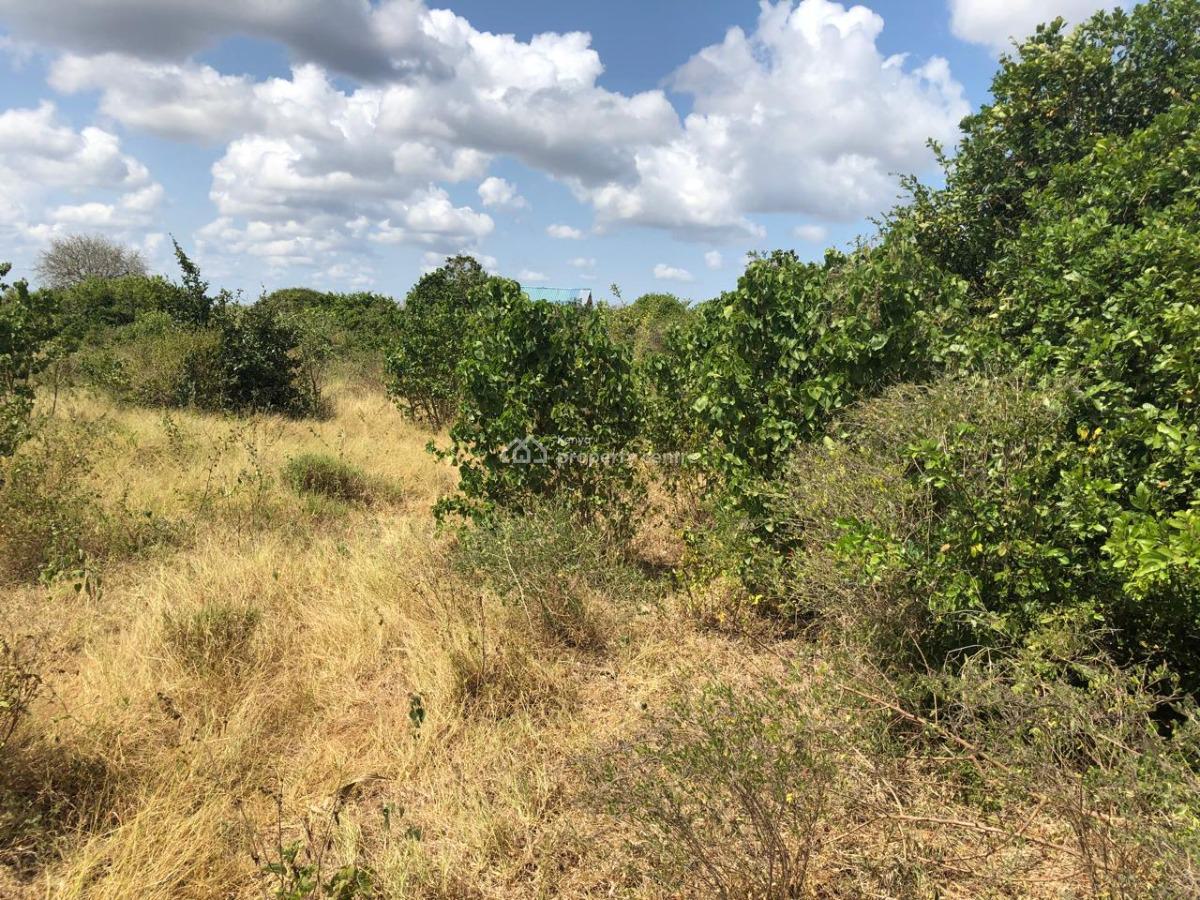 Agricultural 1 Acre Lots, Malindi, Malindi Town, Kilifi, Land for Sale