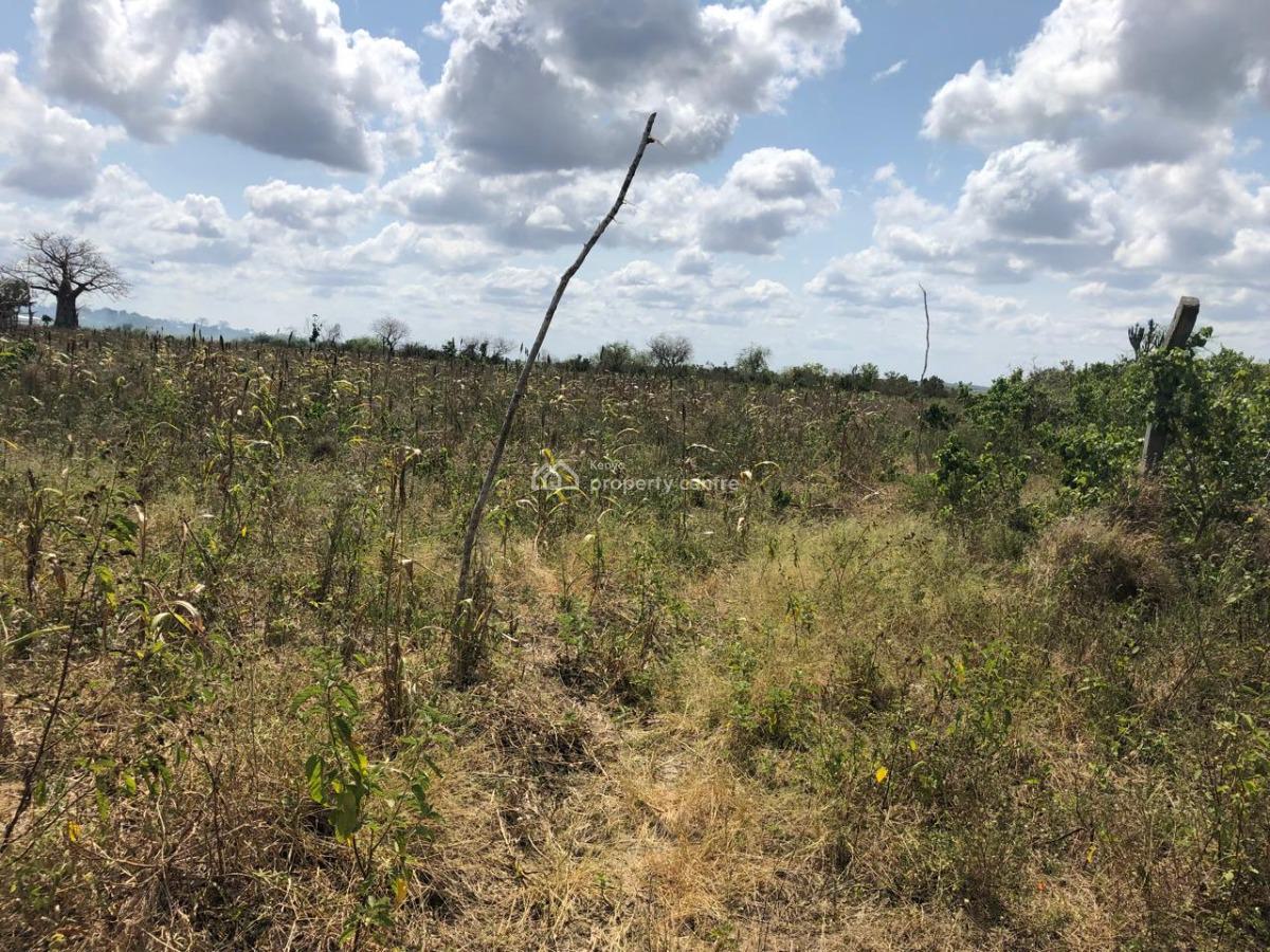 Agricultural 1 Acre Lots, Malindi, Malindi Town, Kilifi, Land for Sale