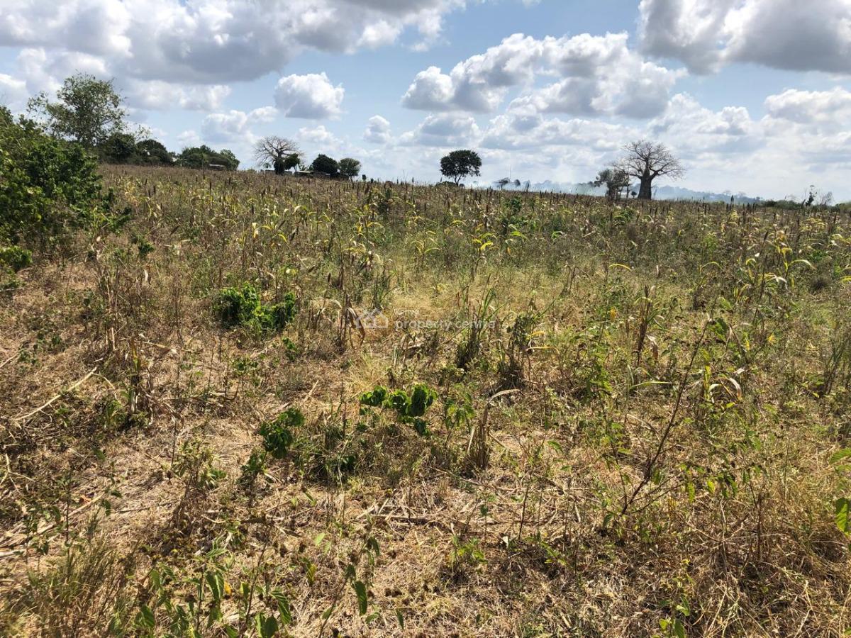Agricultural 1 Acre Lots, Malindi, Malindi Town, Kilifi, Land for Sale