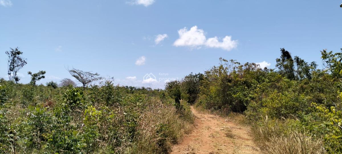 Prime 13-acre Roadfront Land in Kizingo, Watamu, Kizingo, Watamu, Kilifi, Residential Land for Sale