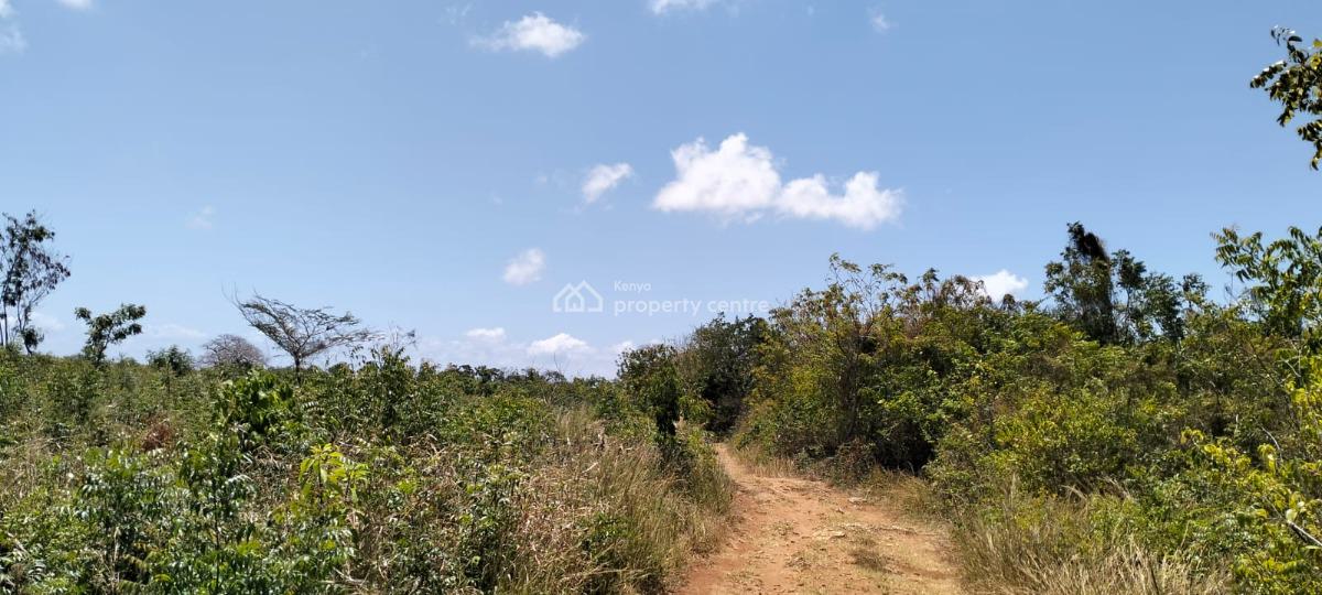 Prime 13-acre Roadfront Land in Kizingo, Watamu, Kizingo, Watamu, Kilifi, Residential Land for Sale