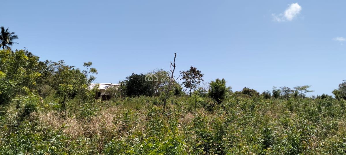 Prime 13-acre Roadfront Land in Kizingo, Watamu, Kizingo, Watamu, Kilifi, Residential Land for Sale