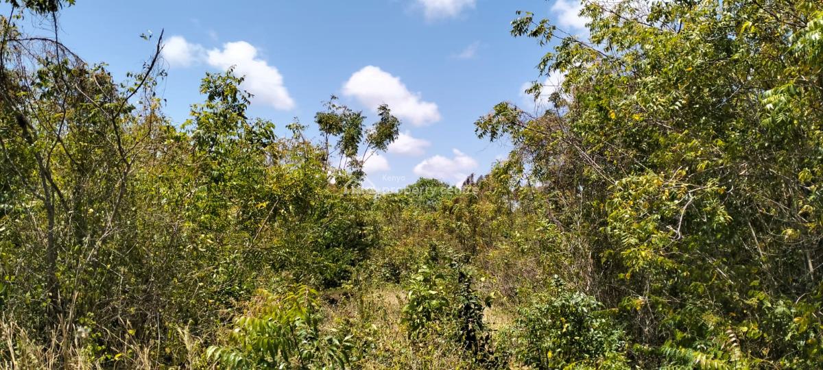 Prime 13-acre Roadfront Land in Kizingo, Watamu, Kizingo, Watamu, Kilifi, Residential Land for Sale