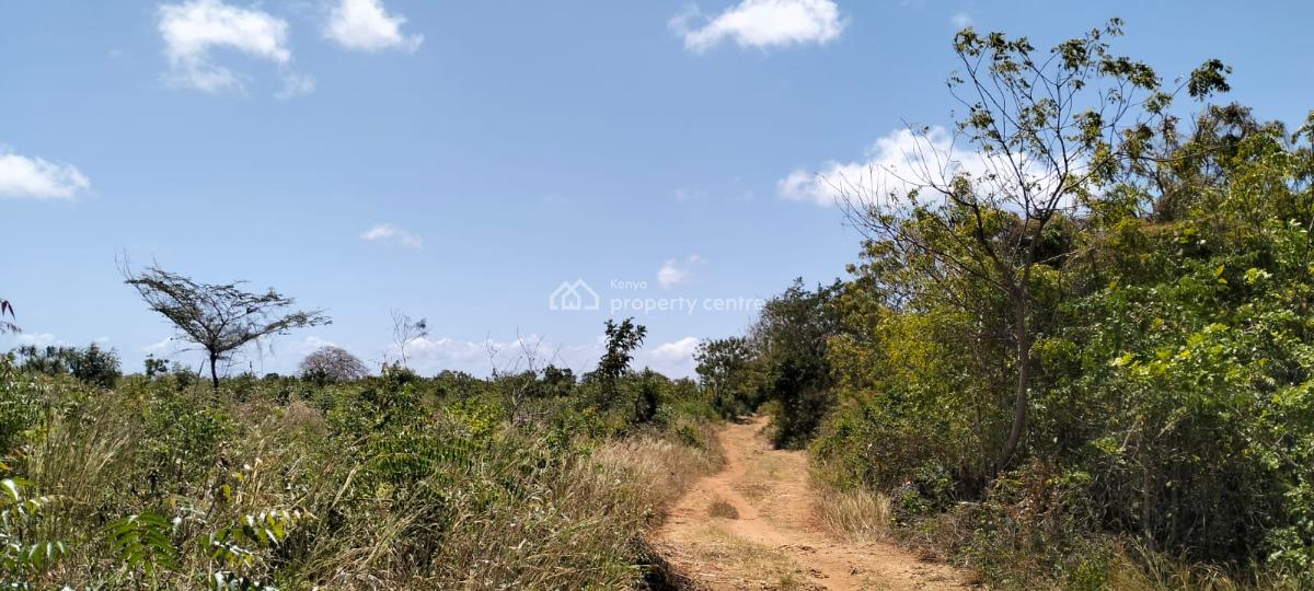 Prime 13-acre Roadfront Land in Kizingo, Watamu, Kizingo, Watamu, Kilifi, Residential Land for Sale