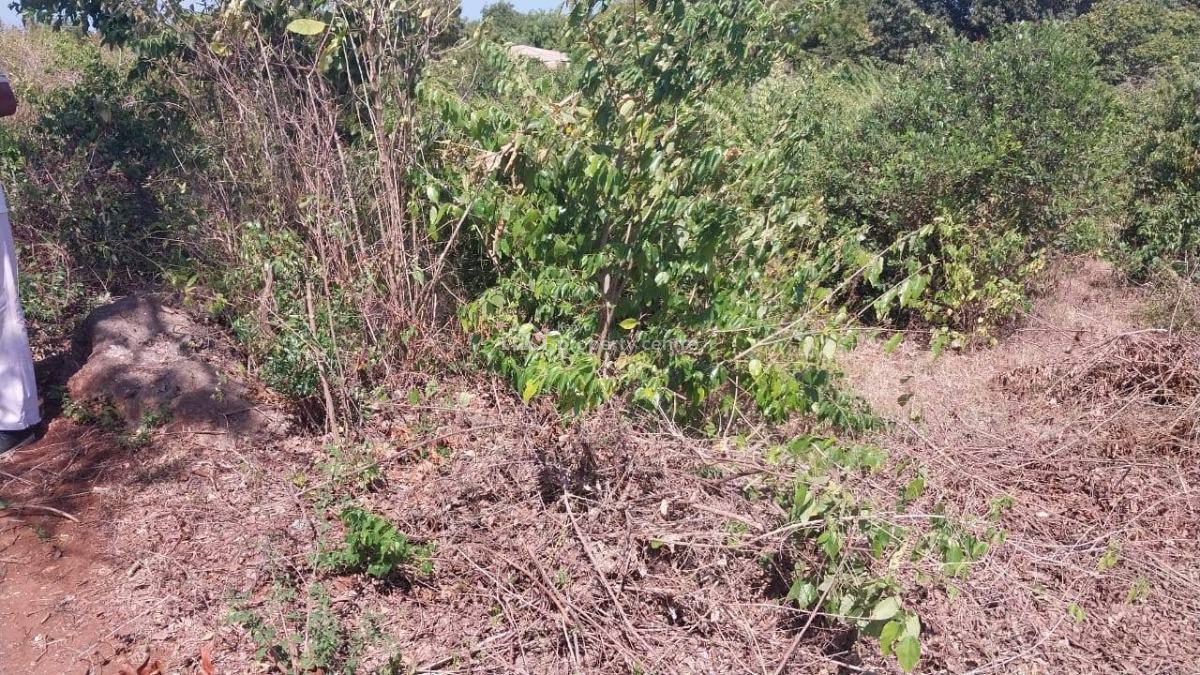 Prime Residential Plot   Near Mtondia-- Bofa, Kilifi, Near Mtondia– Bofa, Kilifi, Mtwapa, Kilifi, Land for Sale